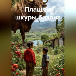 Плащ из шкуры бизона