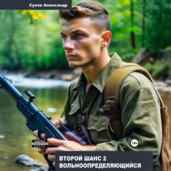 Второй шанс 2. Вольноопределяющийся