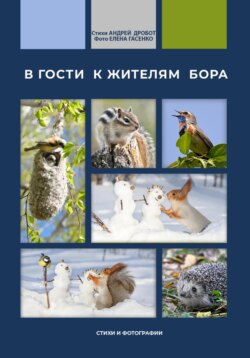 В гости к жителям бора