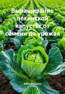 Выращивание пекинской капусты: от семени до урожая