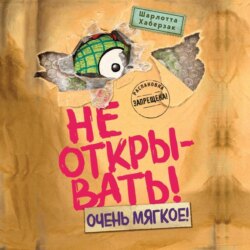 Не открывать! Очень мягкое!