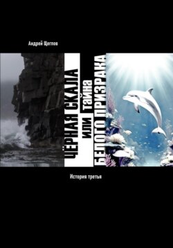 Чёрная Скала или тайна Белого Странника: история третья