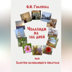 ЧЕЛЛЕНДЖ на 366 ДНЕЙ или Заметки начинающего писателя