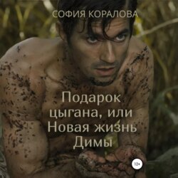 Подарок цыгана, или Новая жизнь Димы