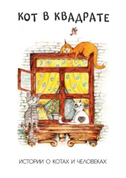 Кот в квадрате. Истории о котах и человеках