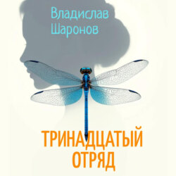 Тринадцатый отряд