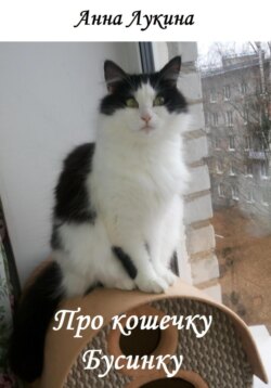 Про кошечку Бусинку