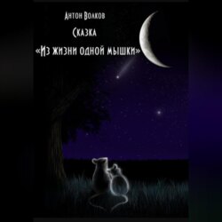 Из жизни одной мышки