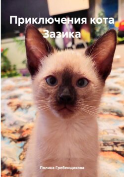 Приключения кота Зазика