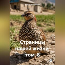 Страницы нашей жизни том-8