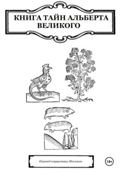 Книга Тайн Альберта Великого