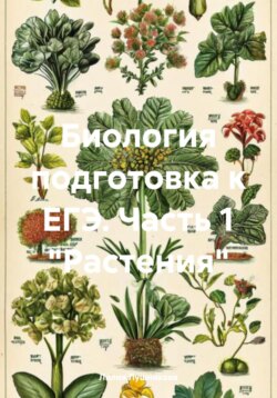 Биология подготовка к ЕГЭ. Часть 1 «Растения»