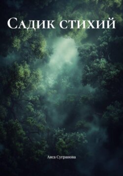 Садик стихий