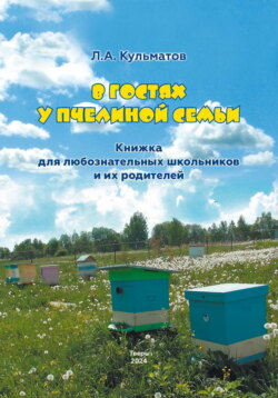 В гостях у пчелиной семьи