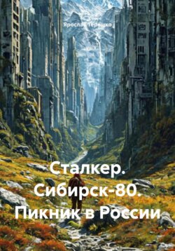 Сталкер. Сибирск-80. Пикник в России