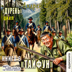 Дурень. Книга шестая. Тайфун