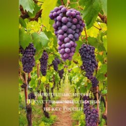 «Виноградные мечты: Искусство виноградарства на юге России»