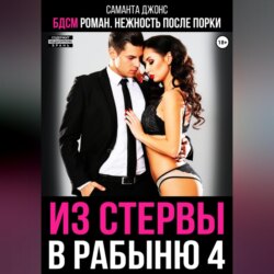 БДСМ роман. Нежность после порки. Из стервы в рабыню 4