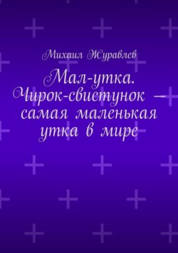 Мал-утка. Чирок-свистунок – самая маленькая утка в мире
