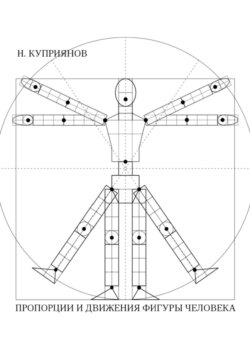 Пропорции и движения фигуры человека