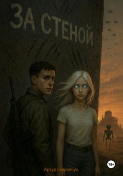 За стеной