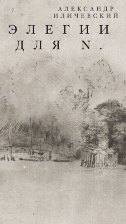 Элегии для N.