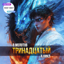 Тринадцатый. Том XI