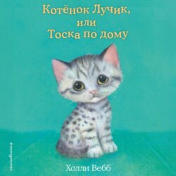 Котёнок Лучик, или Тоска по дому