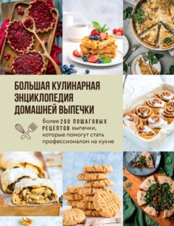 Большая кулинарная энциклопедия домашней выпечки. Более 250 пошаговых рецептов выпечки, которые помогут стать профессионалом на кухне