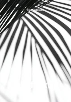 ak_ffskdj