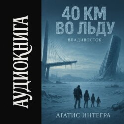 40 км во льду