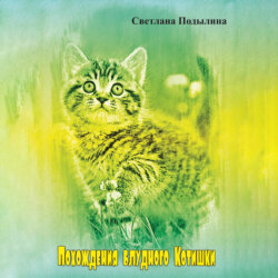 Похождение блудного котишки