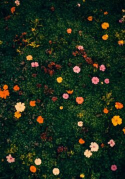 Один из нас умрет