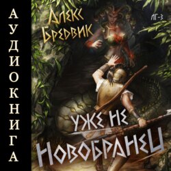 RPG: Уже не новобранец. Том 3