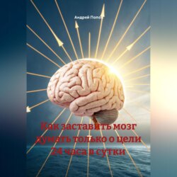 Как заставить мозг думать только о цели 24 часа в сутки