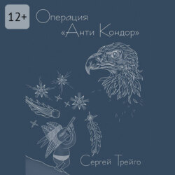 Операция «Анти-Кондор»