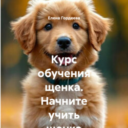 Курс обучения щенка. Начните учить щенка с месячного возраста