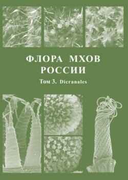 Флора мхов России. Том 3. Dicranales