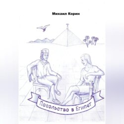 Посольство в Египет