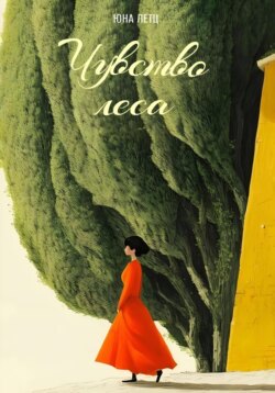 Чувство леса. Вернуться к исходности