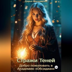 Стражи Теней. Добро пожаловать в Академию «Обсидиан»