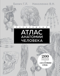 Популярный атлас анатомии человека. 200 классических иллюстраций из «Анатомии Грея»