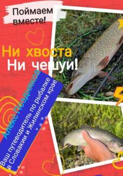 Ваш путеводитель по рыбалке в Словакии и Жилинском крае