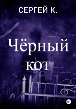 Чёрный кот