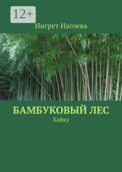 Ты жаждешь тишины. Хайку