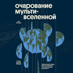 Очарование мультивселенной. Параллельные миры, другие измерения и альтернативные реальности