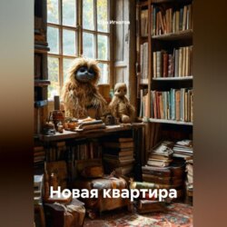 Новая квартира
