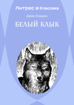 Белый Клык