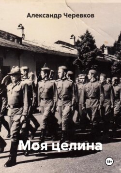 Моя целина