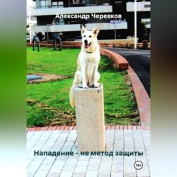 Нападение – не метод защиты